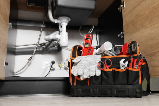 Best Shower Repair Services  in South Roxana, IL