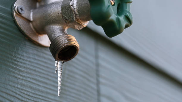  South Roxana, IL Plumbing Pros